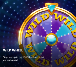 push-gaming-wild-wheel