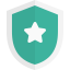 shield icon