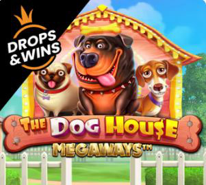 the dog house megaways